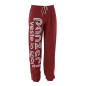 Pantalon De Survêtement Panzeri Uni H