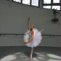 Justaucorps Tutu plateau professionnel Degas TUP7