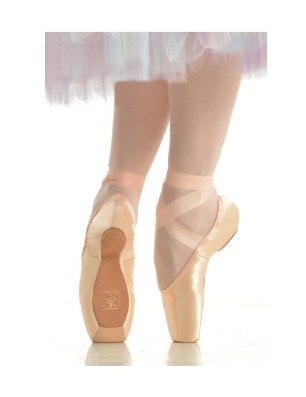 Pointes Gaynor Minden Classic Boite 3+ - FAME La Maison de la Danse