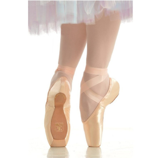 Pointes Gaynor Minden Classic Boite 2 - FAME La Maison de la Danse