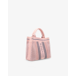 Petit Cabas Rose et Gris Repetto B0380TR