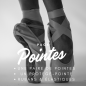 L'essentiel Pointes (15%)