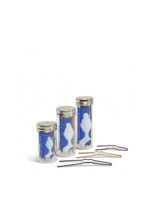 Petites épingles à cheveux Capezio BH434