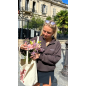 Pull Camionneur Moka Sacre