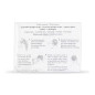 Kit chignon Repetto - A0074