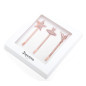 Kit de pinces plates Repetto A0126