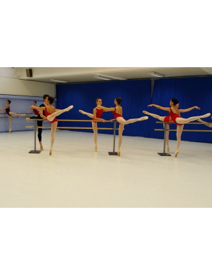 PINA - Double barre de danse mobile avec Roulettes Dinamica ballet - FAME LaMaisonDeLaDanse