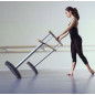 MAURICE - Double barre de danse mobile