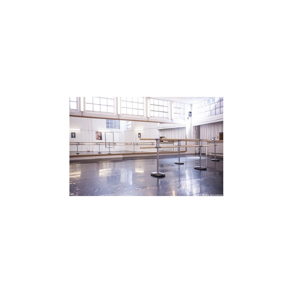 MAURICE - Double barre de danse mobile