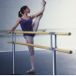 MAURICE - Double barre de danse mobile