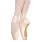 Pointes Grishko 2007PROFLEX (X)