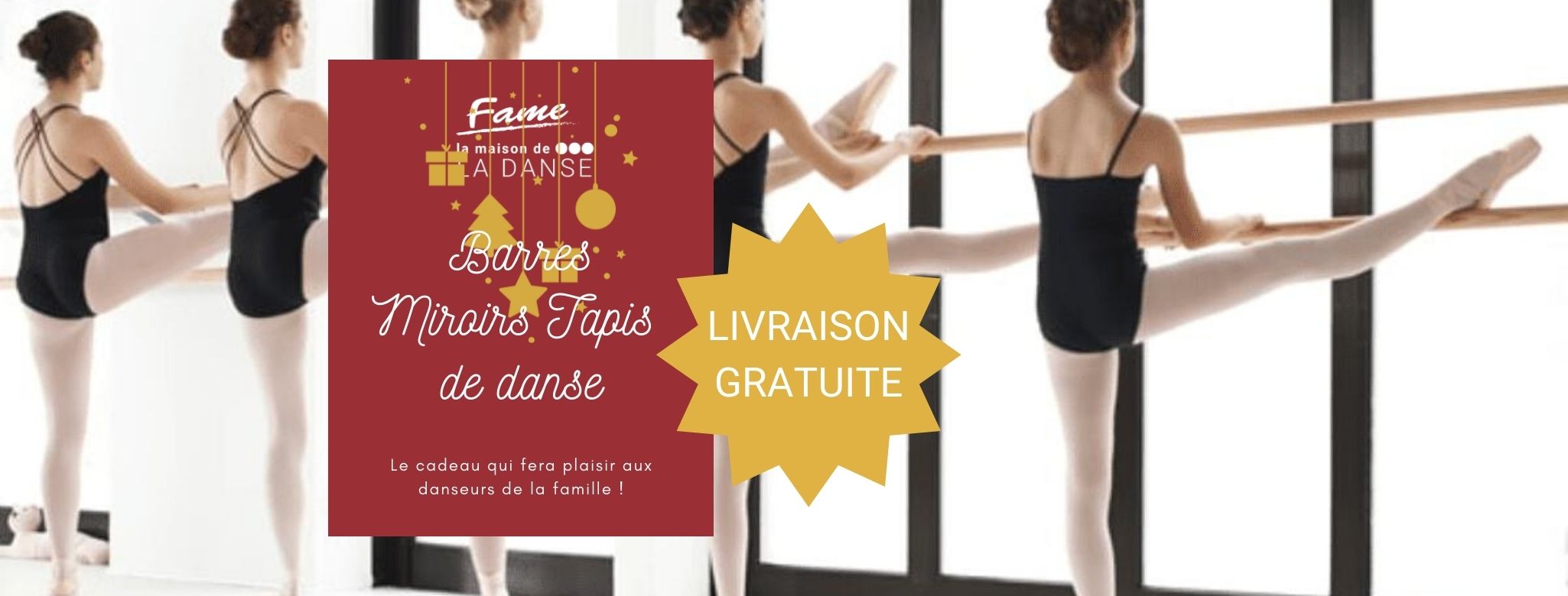 Barres Miroirs Tapis de danse