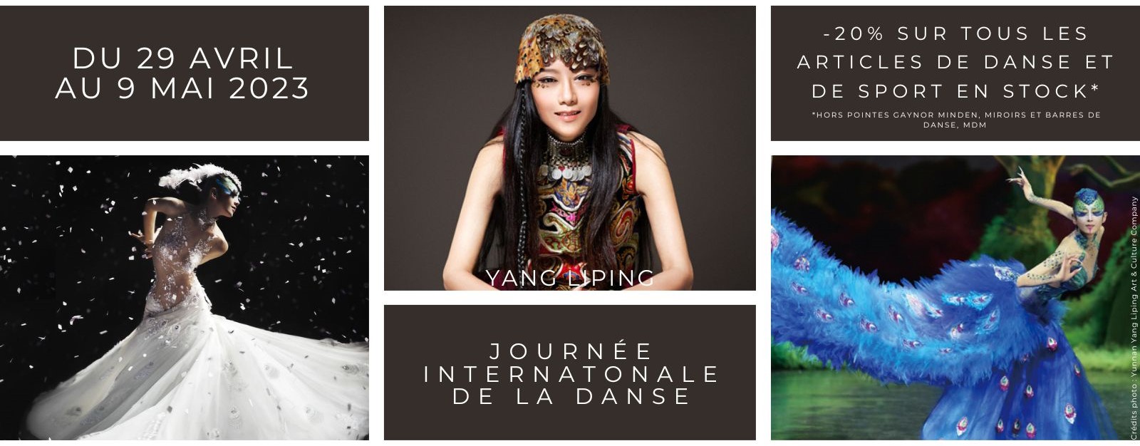 Journée Internationale de la Danse